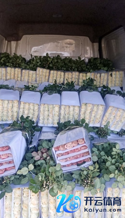 1737701192669277.jpg 11.jpg