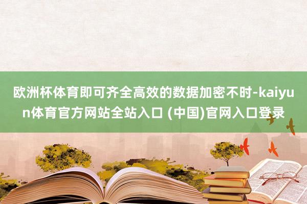 欧洲杯体育即可齐全高效的数据加密不时-kaiyun体育官方网站全站入口 (中国)官网入口登录