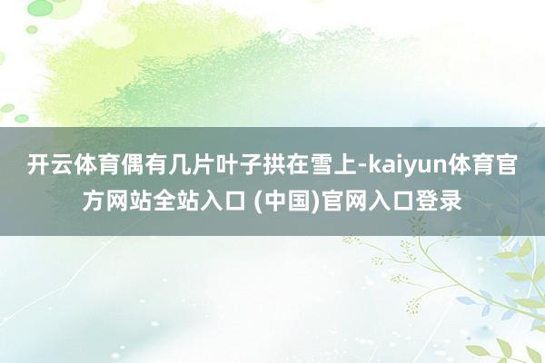 开云体育偶有几片叶子拱在雪上-kaiyun体育官方网站全站入口 (中国)官网入口登录