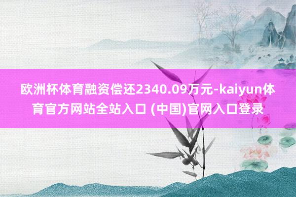 欧洲杯体育融资偿还2340.09万元-kaiyun体育官方网站全站入口 (中国)官网入口登录