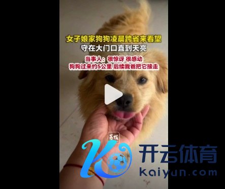 狗狗跨省跑5公里打听许配女子