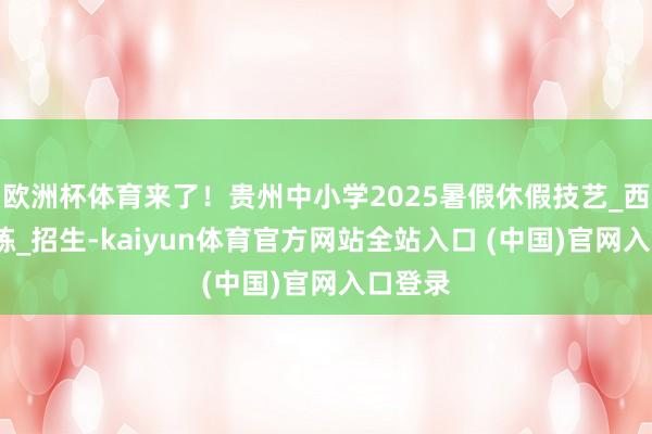 欧洲杯体育来了！贵州中小学2025暑假休假技艺_西宾_历练_招生-kaiyun体育官方网站全站入口 (中国)官网入口登录