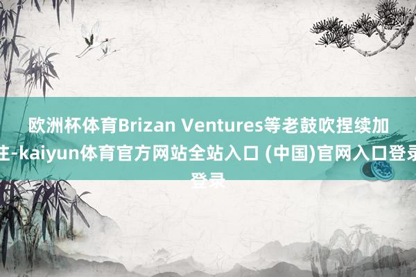 欧洲杯体育Brizan Ventures等老鼓吹捏续加注-kaiyun体育官方网站全站入口 (中国)官网入口登录