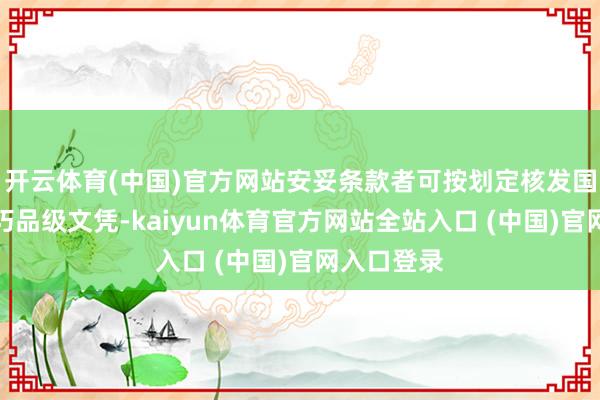 开云体育(中国)官方网站安妥条款者可按划定核发国度做事技巧品级文凭-kaiyun体育官方网站全站入口 (中国)官网入口登录